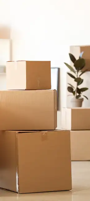Cartons de déménagement d'un déménageur à Nice