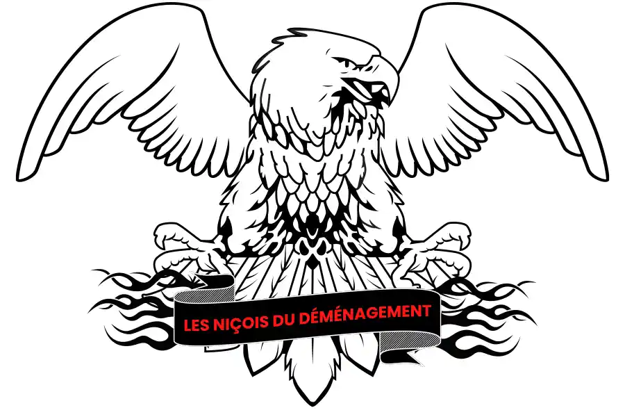 Logo Les niçois du déménagement